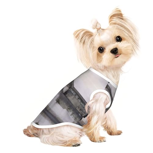 M Pet Atmungsaktives ärmelloses Mädchen mit Luftballonaufdruck, T-Shirt für kleine bis mittelgroße Katzen, Welpen, Yorkie, Dackel, Französische Bulldogge von SamLng