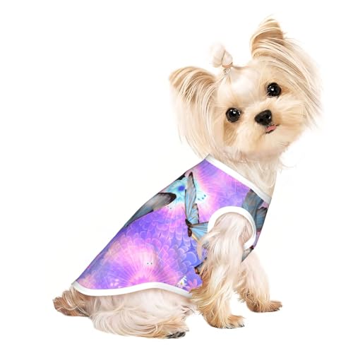 M Pet T-Shirt, atmungsaktiv, ärmellos, Blumen, bunt, Schmetterlings-Druck, kleine bis mittelgroße Katzen, Welpen, Yorkie, Dackel, Französische Bulldogge M Pet T-Shirt, atmungsaktiv, ärmellos, Blumen, bunt, Schmetterlings-Druck, kleine bis mittelgroße Katzen, Welpen, Yorkie, Dackel, Französische Bulldogge von SamLng