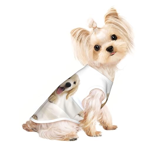 M Pet T-Shirt, atmungsaktiv, ärmellos, Golden Retriever, Welpen, kleine bis mittelgroße Katzen, Welpen, Yorkie, Dackel, Französische Bulldogge M Pet T-Shirt, atmungsaktiv, ärmellos, Golden Retriever, Welpen, kleine bis mittelgroße Katzen, Welpen, Yorkie, Dackel, Französische Bulldogge von SamLng