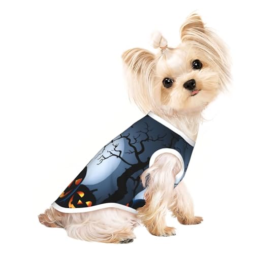 M Pet T-Shirt, atmungsaktiv, ärmellos, für Halloween mit Kürbis-Druck, für kleine bis mittelgroße Katzen, Welpen, Yorkie, Dackel, Französische Bulldogge von SamLng