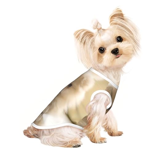 M Pet T-Shirt, atmungsaktiv, ärmellos, niedlicher Zwergspitz, für kleine bis mittelgroße Katzen, Welpen, Yorkie, Dackel, Französische Bulldogge von SamLng