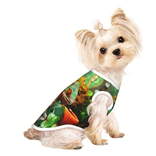 M Pet atmungsaktives ärmelloses T-Shirt mit niedlichem Chamäleon-Druck, kleine bis mittelgroße Katzen, Welpen, Yorkie, Dackel, Französische Bulldogge M Pet atmungsaktives ärmelloses T-Shirt mit niedlichem Chamäleon-Druck, kleine bis mittelgroße Katzen, Welpen, Yorkie, Dackel, Französische Bulldogge von SamLng
