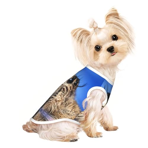 M Pet atmungsaktives ärmelloses Wildtier-T-Shirt mit Spinnen-Print – kleine bis mittelgroße Katzen, Welpen, Yorkie, Dackel, Französische Bulldogge von SamLng