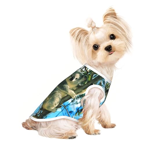S Pet T-Shirt, atmungsaktiv, ärmellos, Bär, Koala-Druck, für kleine bis mittelgroße Katzen, Welpen, Yorkie, Dackel, Französische Bulldogge von SamLng