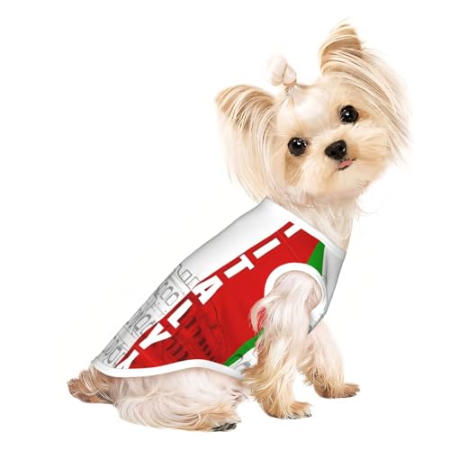 S Pet atmungsaktives ärmelloses T-Shirt mit italienischer Flagge, römisches Kolosseum, kleine bis mittelgroße Katzen, Welpen, Yorkie, Dackel, Französische Bulldogge von SamLng
