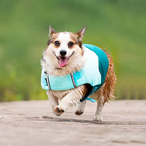 Hundeschwimmweste zum Schwimmen, Hundeschwimmweste mit Sicherheitsgriff, Hundeschwimmwesten für Schwimmbad, Strand, Bootfahren (Größe: L (30 cm), Farbe: Grün) von Samnuerly