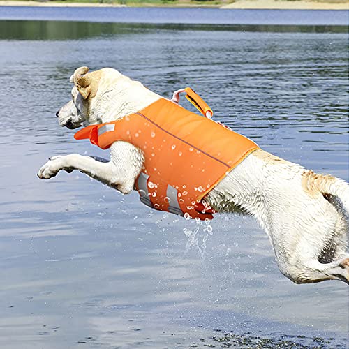 Hundeschwimmweste zum Schwimmen, Ripstop-Hundesicherheitsweste mit reflektierenden Streifen und Griff, Hundeschwimmwesten für Schwimmbad, Strand, Bootfahren (Größe: L (73–93 cm)) von Samnuerly