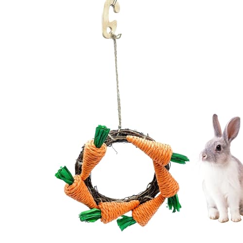Samuliy Bunny Kauspielzeug | Eichhörnchen Molar Spielzeug | Karotte Design Eichhörnchen Molar Spielzeug Chinchilla Spielzeug Zahnen Spielzeug Kaninchen Spielzeug für Käfig Kleine Haustiere von Samuliy