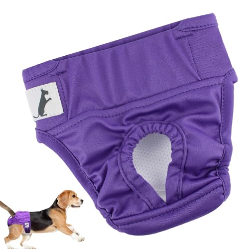 Samuliy Hunde-Sanitärhöschen, Welpenwindeln für Hündinnen, wiederverwendbar, sehr saugfähig, waschbar, physiologische Sanitärhose für Hunde mit starkem und flexiblem Verschluss Samuliy Hunde-Sanitärhöschen, Welpenwindeln für Hündinnen, wiederverwendbar, sehr saugfähig, waschbar, physiologische Sanitärhose für Hunde mit starkem und flexiblem Verschluss von Samuliy