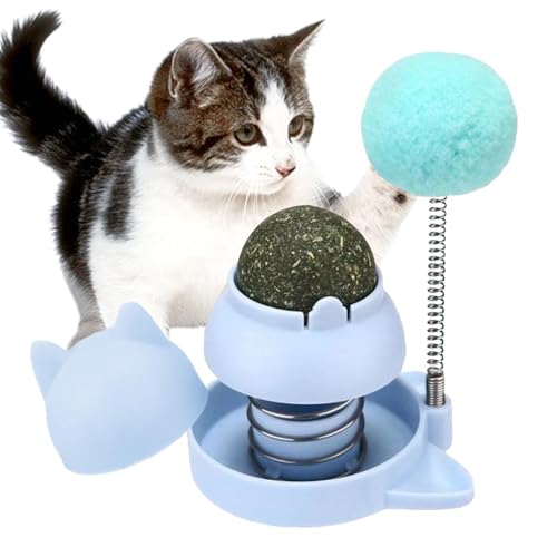 Samuliy Katzenminze-Ball für Katzenwand – Gesunde drehbare Katzenminze-Blasen, die an der Wand haften, Katzenminze-Blasen, Leckables für Katzen, Katzenminze-Ball-Spielzeug für Katzenzähne, Reinigung Samuliy Katzenminze-Ball für Katzenwand – Gesunde drehbare Katzenminze-Blasen, die an der Wand haften, Katzenminze-Blasen, Leckables für Katzen, Katzenminze-Ball-Spielzeug für Katzenzähne, Reinigung von Samuliy