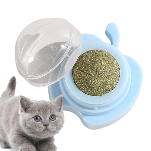 Samuliy Katzenminze Wandball - Katze Kauspielzeug | Katze Wanddekoration Kätzchen Spielen Kauen Reinigen Zähne Spielzeug Katzenminze Katzenleckereien Katzenminze Bälle für Katzen Wand Samuliy Katzenminze Wandball - Katze Kauspielzeug | Katze Wanddekoration Kätzchen Spielen Kauen Reinigen Zähne Spielzeug Katzenminze Katzenleckereien Katzenminze Bälle für Katzen Wand von Samuliy