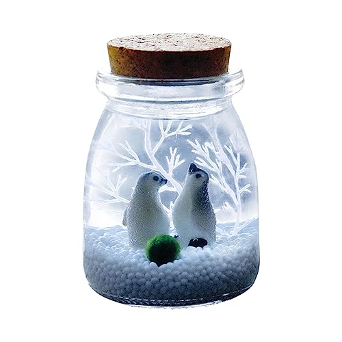 Samuliy Terrarium-Glas mit Deckel | Pflanzgefäß Glasbehälter für Tisch-Pflanzgefäße | Glasvase mit Korken, Landschaftsornamente für Luftpflanzen, Sukkulenten, Mooskugeln, Feengarten-Zubehör von Samuliy