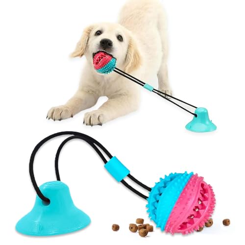 Hundespielzeug - Saugnapf Hund Kauspielzeug für aggressive Kauer - Leckerli-Dosierung Quietschendes Hundespielzeug zur Stimulation und Selbstspiel - Tauziehen Seil mit Zahnreinigungsball Hundespielzeug - Saugnapf Hund Kauspielzeug für aggressive Kauer - Leckerli-Dosierung Quietschendes Hundespielzeug zur Stimulation und Selbstspiel - Tauziehen Seil mit Zahnreinigungsball von Samyuktha