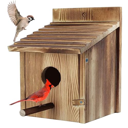 Holzvogelhäuser für außen, Bluebird Houses Box House, Hummingbird House mit stehend von Sanfiyya