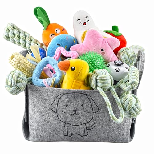 Ousiya 24-Stück Welpenspielzeug-Set, Welpenspielzeug zum Zahnen mit Aufbewahrungsbox, Hundespielzeug und quietschendes Hundespielzeug, Kauspielzeug für kleine und mittelgroße Hunde, zum Spielen Ousiya 24-Stück Welpenspielzeug-Set, Welpenspielzeug zum Zahnen mit Aufbewahrungsbox, Hundespielzeug und quietschendes Hundespielzeug, Kauspielzeug für kleine und mittelgroße Hunde, zum Spielen von Ousiya