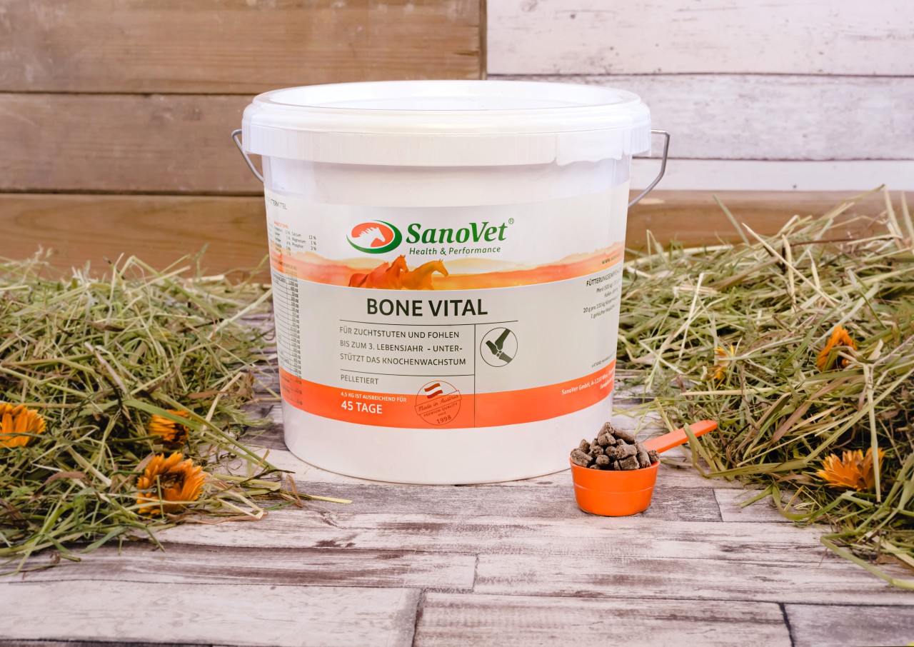 BONE VITAL BONE VITAL von SanoVet GmbH