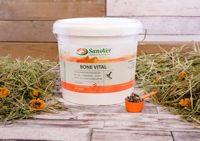 BONE VITAL BONE VITAL von SanoVet GmbH