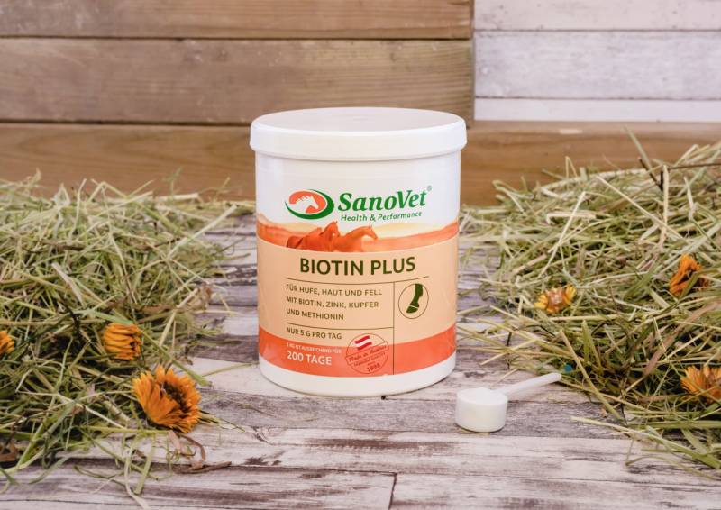 Biotin Plus Biotin Plus von SanoVet GmbH