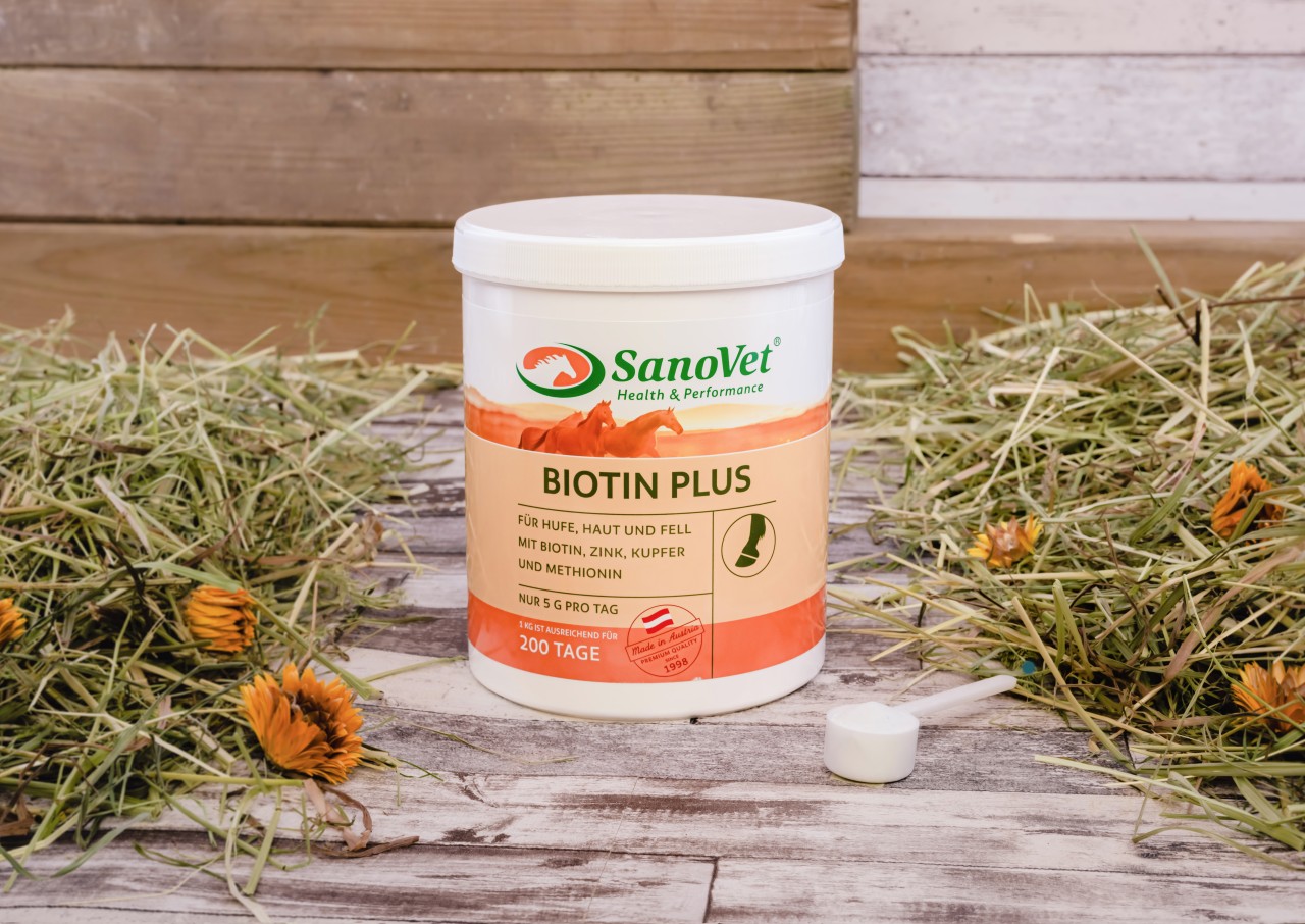 Biotin Plus von SanoVet GmbH