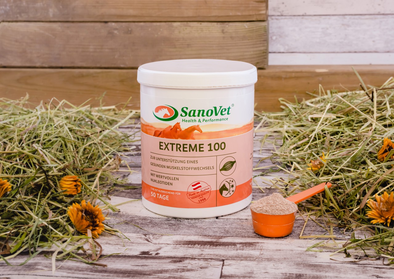EXTREME 100 von SanoVet GmbH