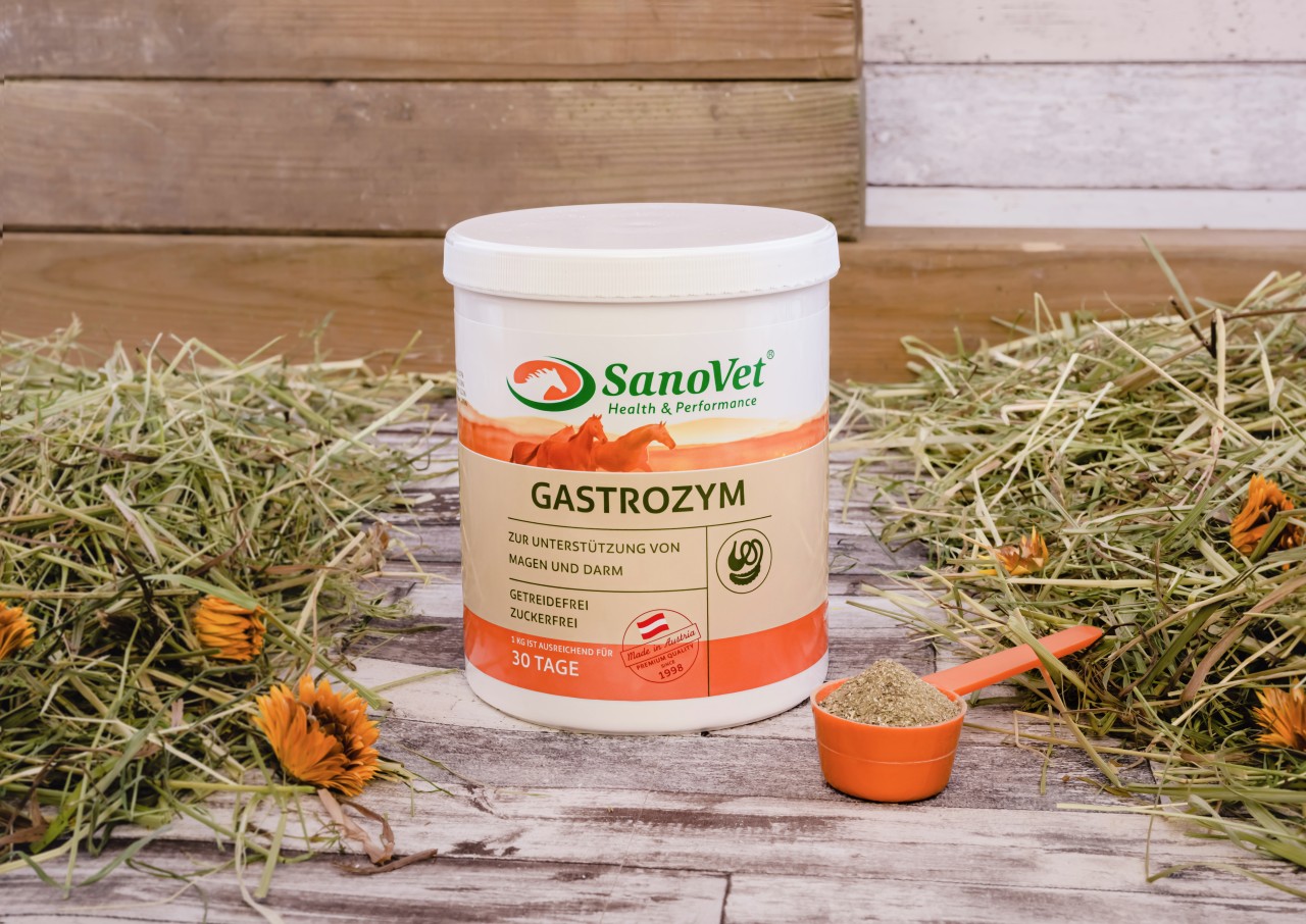 Gastrozym von SanoVet GmbH