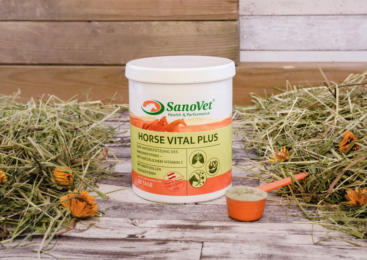 Horse Vital Plus Horse Vital Plus von SanoVet GmbH