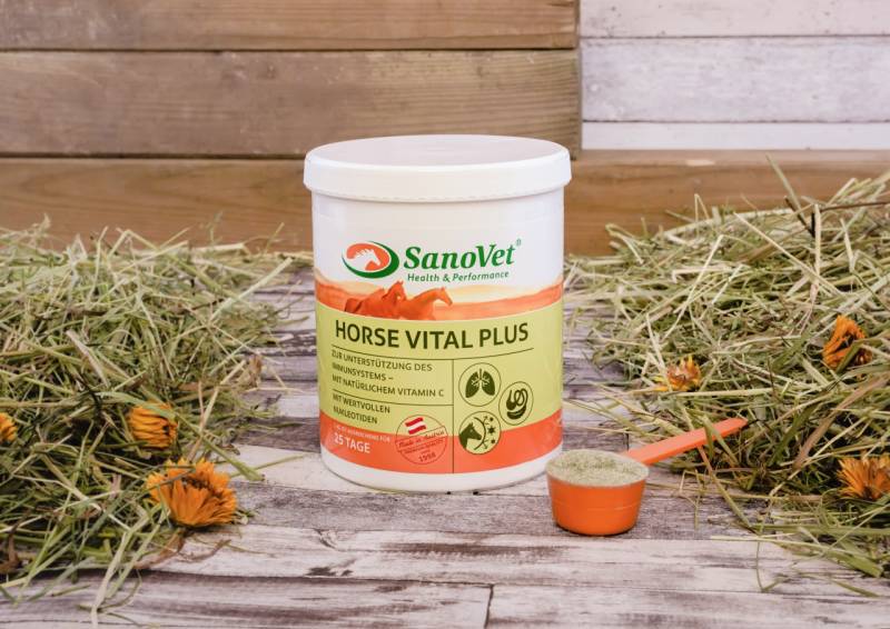 Horse Vital Plus Horse Vital Plus von SanoVet GmbH