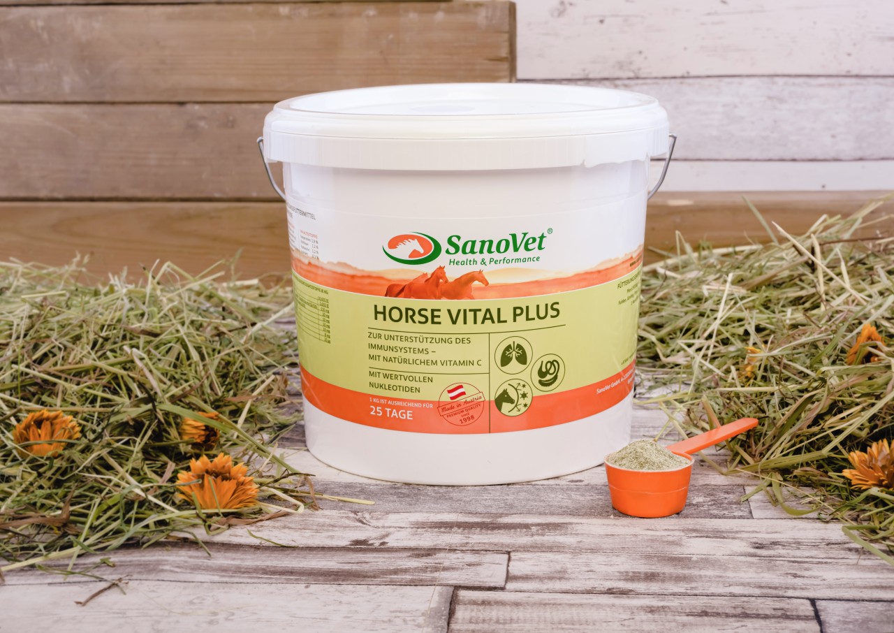Horse Vital Plus von SanoVet GmbH