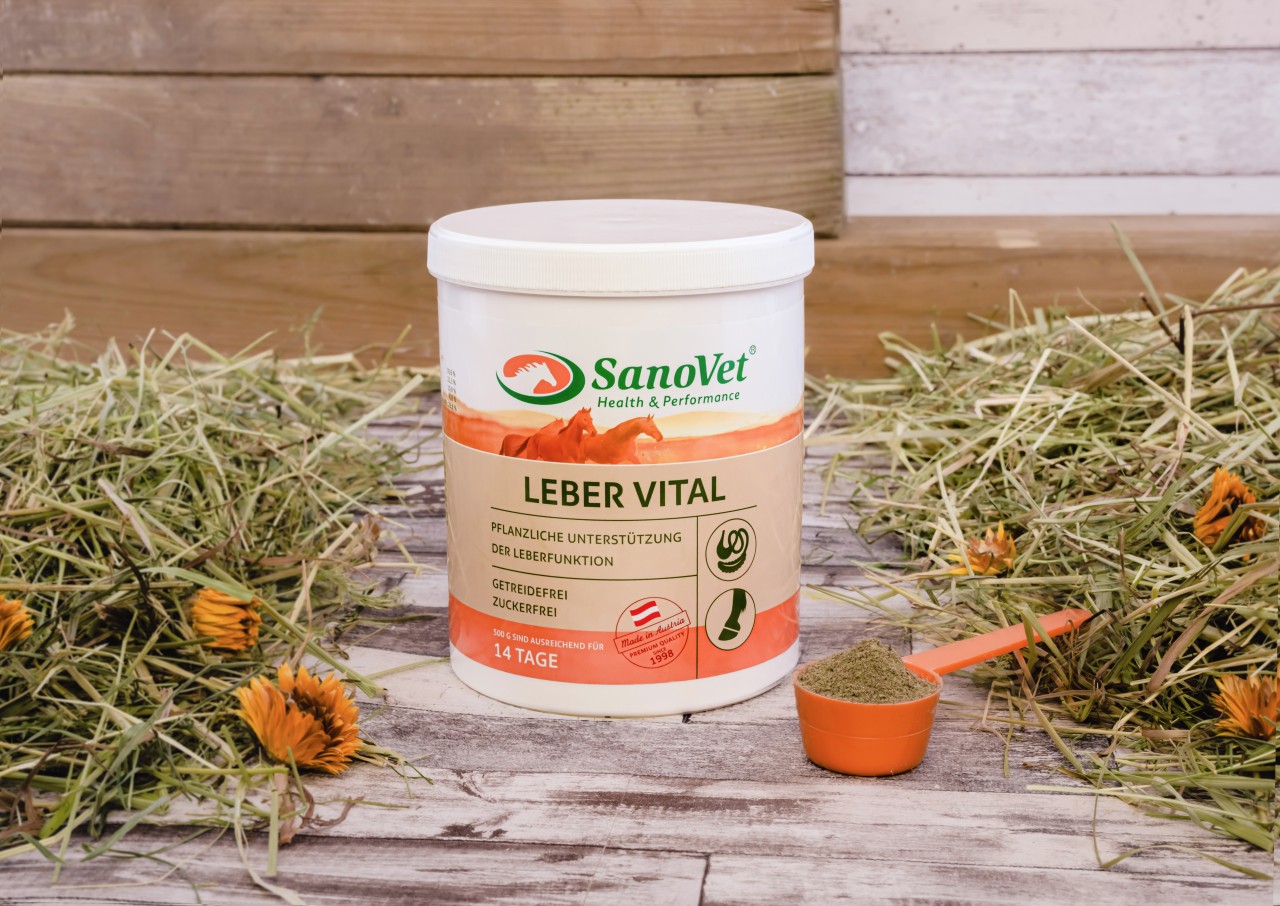 Leber Vital Leber Vital von SanoVet GmbH