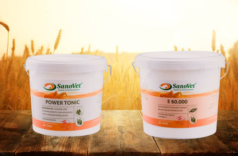 Maxi-Kombi von SanoVet GmbH