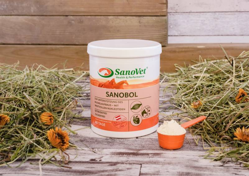 Sanobol von SanoVet GmbH