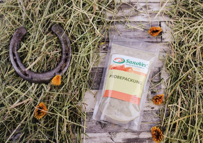 Top Lysin + E (Probepackung) von SanoVet GmbH