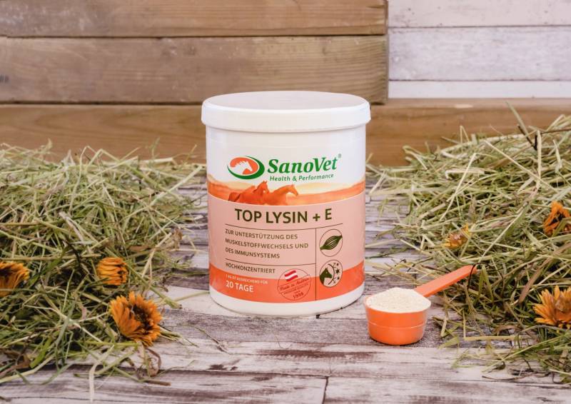 Top Lysin + E Top Lysin + E von SanoVet GmbH