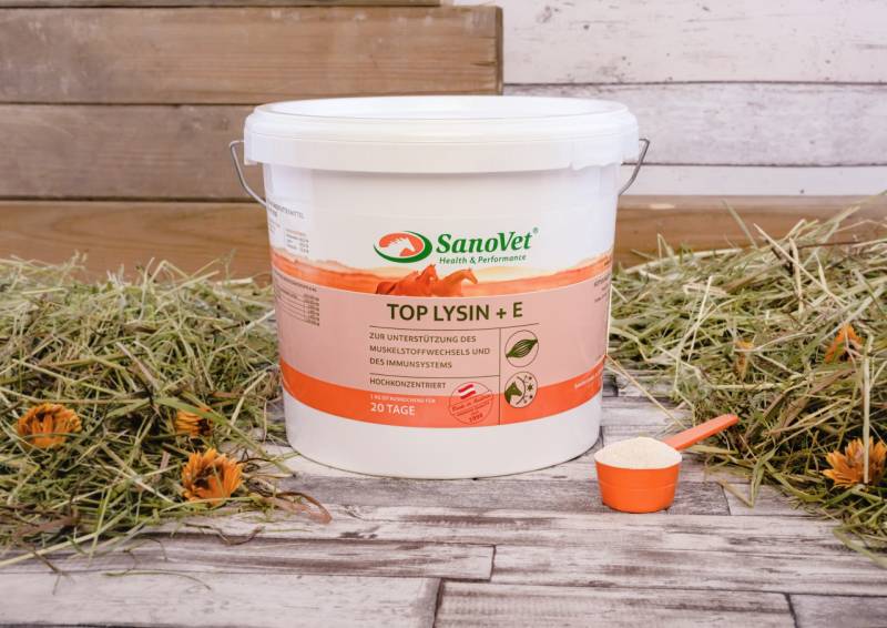Top Lysin + E von SanoVet GmbH