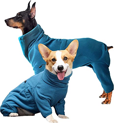 Hundejacke Winter, Warmer Hund Wintermantel für Kleine Mittel Große Hunde, Hundemantel für Labrador Chihuahua Französische Bulldogge (3XL,Blau) von Sanswin