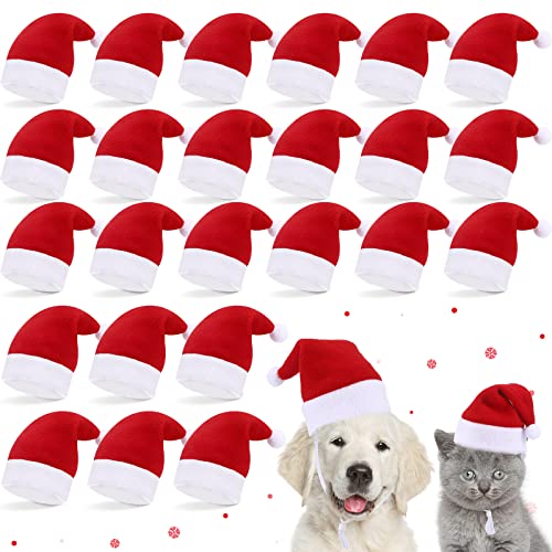 24 Stück Hund Weihnachtsmannmütze Niedliche PET Weihnachtsmannmütze Kostüm Weihnachtsmütze für Katze Urlaub Party Kostüme für Katzen Hunde Haustiere Welpen Weihnachten Party Outfit Supplies von Sanwuta