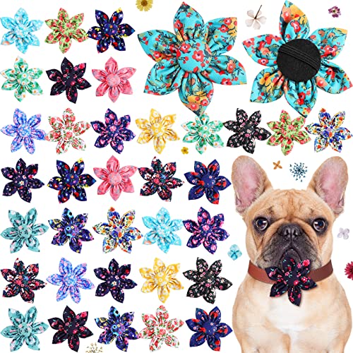 36 Stück Hundehalsband Blume Haustier Blume Halsband Mädchen Hund Zubehör Verstellbar Hundehalsband Blume Hunde Halsband Befestigung für kleine, mittelgroße große Hunde Katzen Haustierhalsbänder 36 Stück Hundehalsband Blume Haustier Blume Halsband Mädchen Hund Zubehör Verstellbar Hundehalsband Blume Hunde Halsband Befestigung für kleine, mittelgroße große Hunde Katzen Haustierhalsbänder von Sanwuta