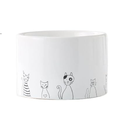 Erhöhter Keramik-Katzennapf für trockenes und nasses Katzenfutter, erhöhter geneigter Futternapf für Hunde und Katzen, große Öffnung, schützt die Wirbelsäule des Haustiers, stressfrei, schräges Design von Sanxor