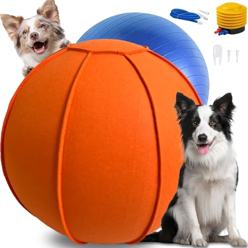 Sapbontchi Herding Ball für Hunde, Großes Hundetraining, Jolly Ball für Australian Shepherd und Collie, 63,5 cm, Orange von Sapbontchi
