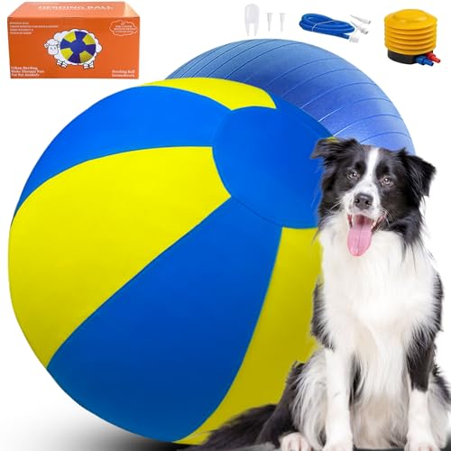 Sapbontchi Herding Ball für Hunde, großes Hundetraining, Jolly Ball für Australian Shepherd und Collie, 63,5 cm, Orange (Blau & Gelb) von Sapbontchi