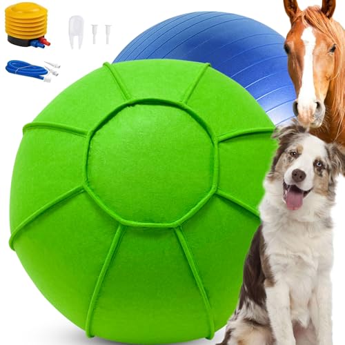 Sapbontchi Herding Ball für Hunde, großes Hundetraining, Jolly Ball für Australian Shepherd und Collie, 63,5 cm, Orange (Grün) von Sapbontchi