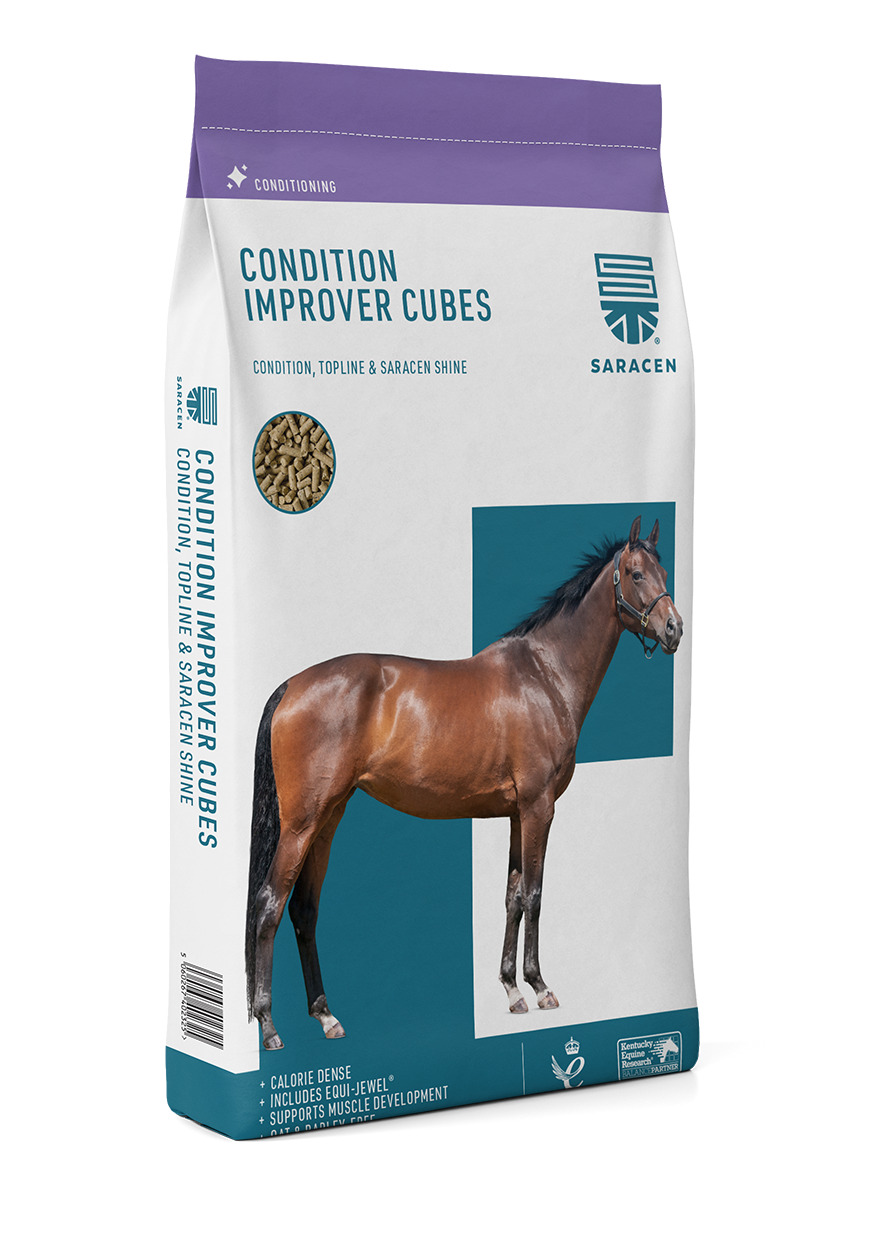 Saracen Condition Improver Cubes 20kg für einzigartige Erscheinung, Oberlinie und Glanz Saracen Condition Improver Cubes 20kg für einzigartige Erscheinung, Oberlinie und Glanz von Saracen
