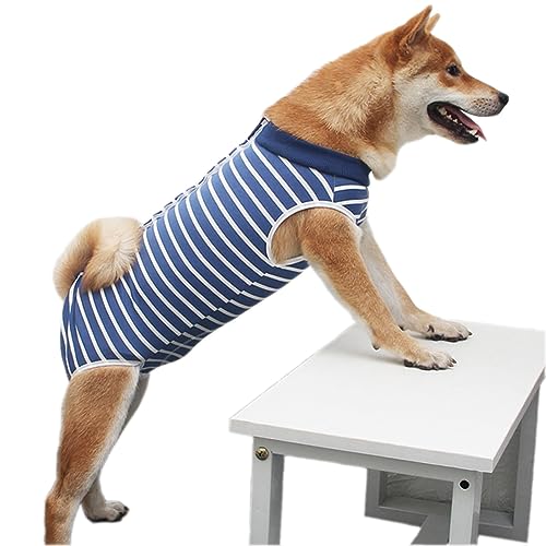 Hunde Chirurgie Erholung Anzug, Medizinisches Haustier Shirt, nach der Operation Hund Katze Erholung Onesie (XL, Streifen) von Sarekung