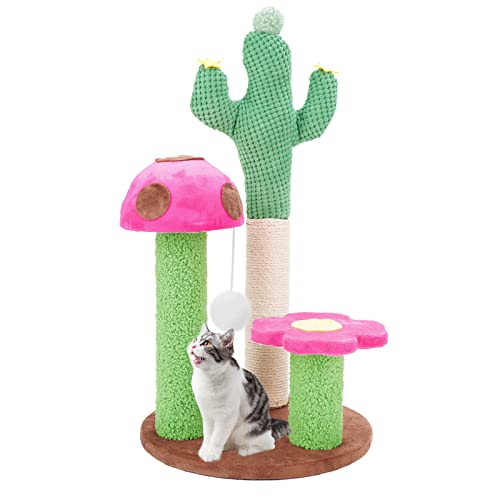 Sasapet Katzen-Kratzbaum, Kaktus-Pilz-Krallenkratzer, kleiner Katzenbaum, Haus, interaktives Spielzeug für Indoor-Kätzchen, Katzen von Sasapet