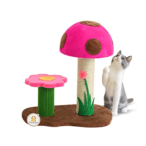 Sasapet Katzenkratzbaum, Pilz-Krallenkratzer, klein, interaktives Spielzeug für Innenräume, Kätzchen, Katzen (Rosa) von Sasapet