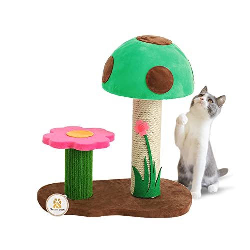 Sasapet Kratzbaum, Pilzklaue Kratzbaum Kleine Katzenbaum Haus Traning Interaktives Spielzeug für Indoor Kätzchen, Katzen (Grün) von Sasapet