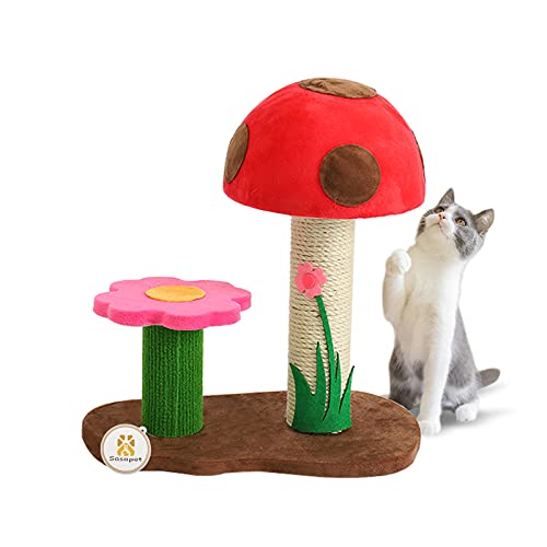 Sasapet Kratzbaum für Katzen, Pilzkralle, Kratzbaum für Katzen, interaktives Spielzeug für Indoor-Kätzchen, Katzen von Sasapet