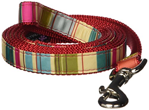 Hundeleine, mittelgroß, Rot mit mehrfarbigen Streifen, 1,9 cm breit, 1,8 m lang von Sassy Dog Wear