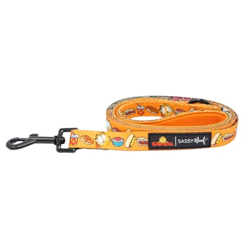 Sassy Woof Garfield™ Hundeleine, 152,4 cm, mit Neopren-gepolstertem Griff, bequem, langlebig und stilvoll für kleine bis große Hunde, offizielles Lizenzprodukt von Sassy Woof
