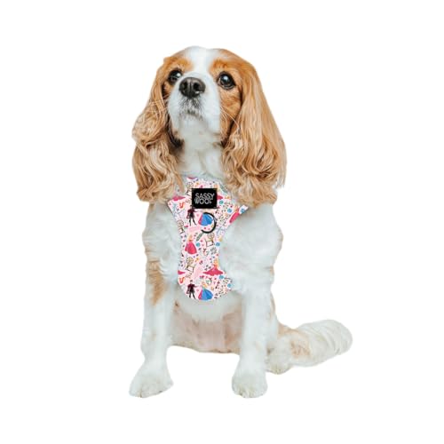 Sassy Woof Verstellbares Hundegeschirr Disney Princess Dornröschen Aurora - S, atmungsaktives Netzgewebe, kein Ziehen, Design mit zwei D-Ringen, perfekt für kleine Hunde, offizielles Lizenzprodukt Sassy Woof Verstellbares Hundegeschirr Disney Princess Dornröschen Aurora - S, atmungsaktives Netzgewebe, kein Ziehen, Design mit zwei D-Ringen, perfekt für kleine Hunde, offizielles Lizenzprodukt von Sassy Woof